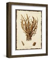 Natura Coral V-Johann Esper-Framed Art Print