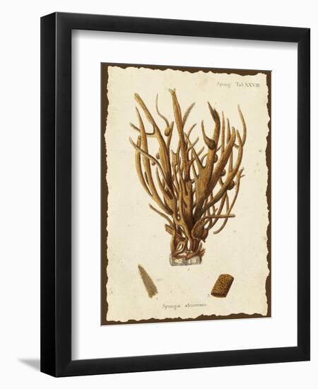 Natura Coral V-Johann Esper-Framed Art Print