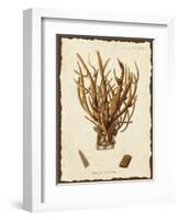 Natura Coral V-Johann Esper-Framed Art Print