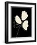 Natural 1-Kimberly Allen-Framed Art Print