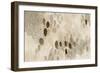 Natural Abstract II-Laura Horn-Framed Art Print