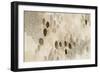 Natural Abstract II-Laura Horn-Framed Art Print