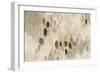 Natural Abstract II-Laura Horn-Framed Art Print