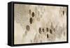 Natural Abstract II-Laura Horn-Framed Stretched Canvas