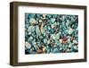 Natural Abstract Vintage Colorful Pebbles Background-vvvita-Framed Photographic Print