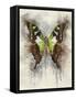 Natural Abstraction I-Leda Robertson-Framed Stretched Canvas