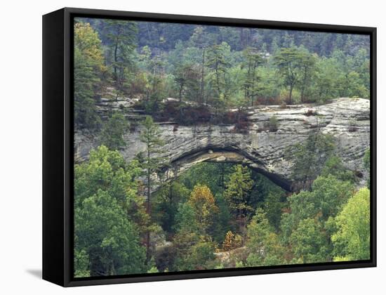 Natural Arch, Daniel Boone National Forest, Whitley City, Kentucky, USA-Adam Jones-Framed Stretched Canvas