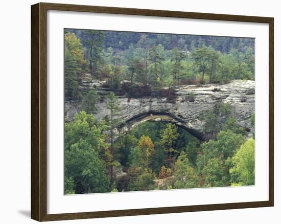 Natural Arch, Daniel Boone National Forest, Whitley City, Kentucky, USA-Adam Jones-Framed Photographic Print