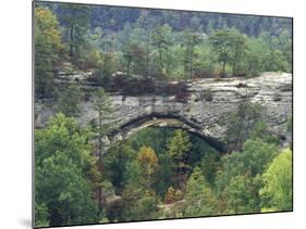 Natural Arch, Daniel Boone National Forest, Whitley City, Kentucky, USA-Adam Jones-Mounted Photographic Print