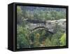 Natural Arch, Daniel Boone National Forest, Whitley City, Kentucky, USA-Adam Jones-Framed Stretched Canvas