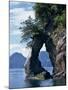 Natural Arch on Edge of Threehole Bay, Kenai Fjords, Aialik Peninsula, Alaska, USA-Waltham Tony-Mounted Photographic Print