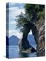 Natural Arch on Edge of Threehole Bay, Kenai Fjords, Aialik Peninsula, Alaska, USA-Waltham Tony-Stretched Canvas