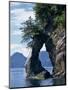 Natural Arch on Edge of Threehole Bay, Kenai Fjords, Aialik Peninsula, Alaska, USA-Waltham Tony-Mounted Photographic Print