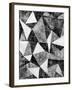 Natural Architecture 2 B&W-Edith Lentz-Framed Art Print