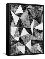 Natural Architecture 2 B&W-Edith Lentz-Framed Stretched Canvas