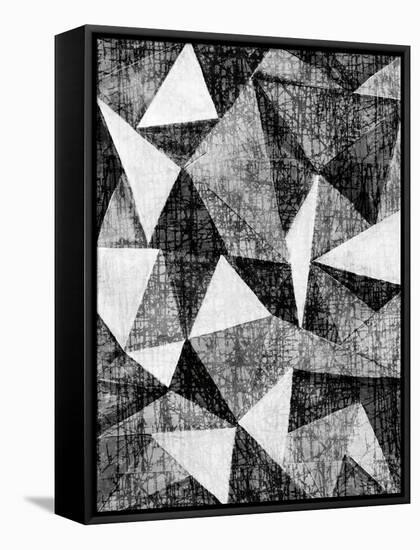 Natural Architecture 2 B&W-Edith Lentz-Framed Stretched Canvas