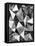 Natural Architecture 2 B&W-Edith Lentz-Framed Stretched Canvas