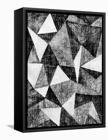 Natural Architecture 2 B&W-Edith Lentz-Framed Stretched Canvas