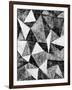 Natural Architecture 2 B&W-Edith Lentz-Framed Art Print