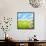 Natural Background with Daisy Flower on Grass-Liang Zhang-Framed Stretched Canvas displayed on a wall
