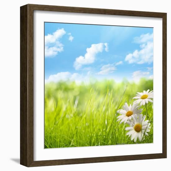 Natural Background with Daisy Flower on Grass-Liang Zhang-Framed Photographic Print