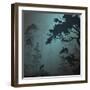 Natural Background with Pine Forest and the Wolf, Moonlight-eva_mask-Framed Art Print