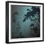Natural Background with Pine Forest and the Wolf, Moonlight-eva_mask-Framed Art Print