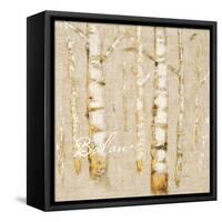 Natural Balance-James Wiens-Framed Stretched Canvas