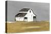 Natural Barn-Patricia Pinto-Stretched Canvas