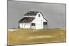 Natural Barn-Patricia Pinto-Mounted Art Print