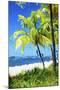 Natural Beach - In the Style of Oil Painting-Philippe Hugonnard-Mounted Giclee Print