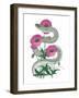 Natural Beauty II Pink Flower-null-Framed Art Print