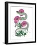 Natural Beauty II Pink Flower-null-Framed Art Print