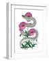 Natural Beauty II Pink Flower-null-Framed Art Print