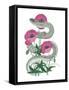 Natural Beauty II Pink Flower-null-Framed Stretched Canvas