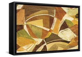 Natural Beauty-Sean Sadler-Framed Stretched Canvas