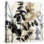 Natural Botanical 1-Melissa Pluch-Stretched Canvas
