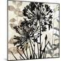 Natural Botanical 2-Melissa Pluch-Mounted Art Print