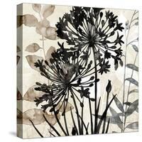 Natural Botanical 2-Melissa Pluch-Stretched Canvas