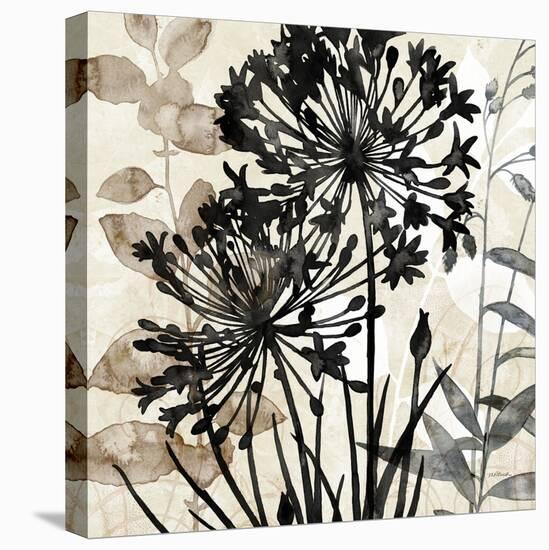Natural Botanical 2-Melissa Pluch-Stretched Canvas