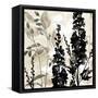 Natural Botanical 3-Melissa Pluch-Framed Stretched Canvas