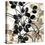 Natural Botanical 4-Melissa Pluch-Stretched Canvas