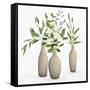 Natural Bouquet I White-Julia Purinton-Framed Stretched Canvas