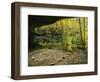 Natural Bridge, Ha Ha Tonka Karst Natural Area, Ha Ha Tonka State Park, Missouri, USA-Charles Gurche-Framed Photographic Print