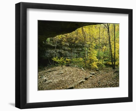 Natural Bridge, Ha Ha Tonka Karst Natural Area, Ha Ha Tonka State Park, Missouri, USA-Charles Gurche-Framed Photographic Print