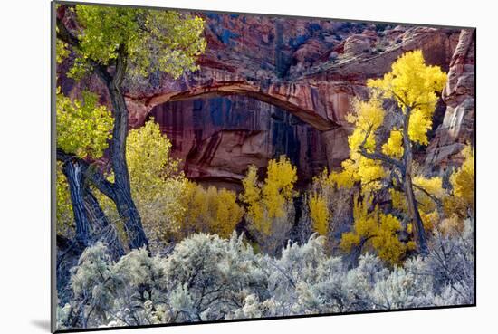 Natural Bridge in Grand Staircase-Escalante NM, Utah, USA-Scott T. Smith-Mounted Photographic Print