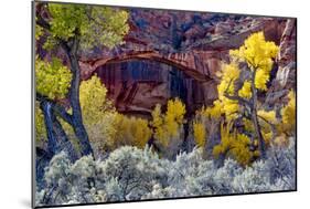 Natural Bridge in Grand Staircase-Escalante NM, Utah, USA-Scott T. Smith-Mounted Photographic Print