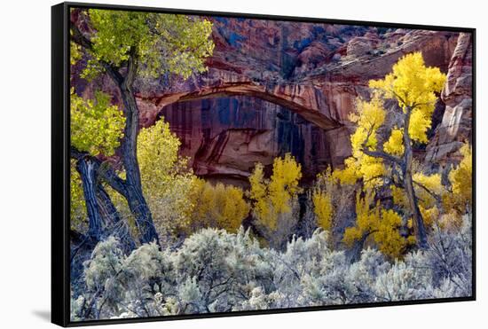 Natural Bridge in Grand Staircase-Escalante NM, Utah, USA-Scott T. Smith-Framed Stretched Canvas
