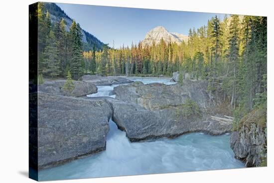 Natural Bridge on Kicking Horse River with Mount Steven-null-Stretched Canvas