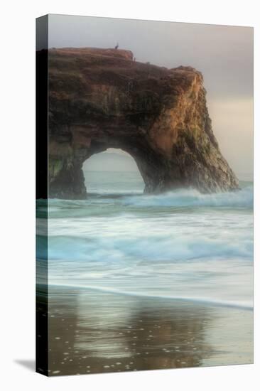 Natural Bridge Portrait, Santa Cruz-Vincent James-Stretched Canvas